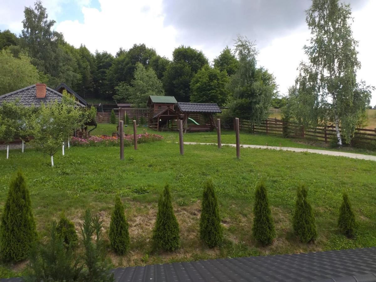 ホテル Pensiunea Doina Bucovinei Mînăstirea Humorului エクステリア 写真